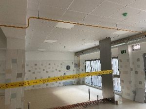 docentes_3_v1